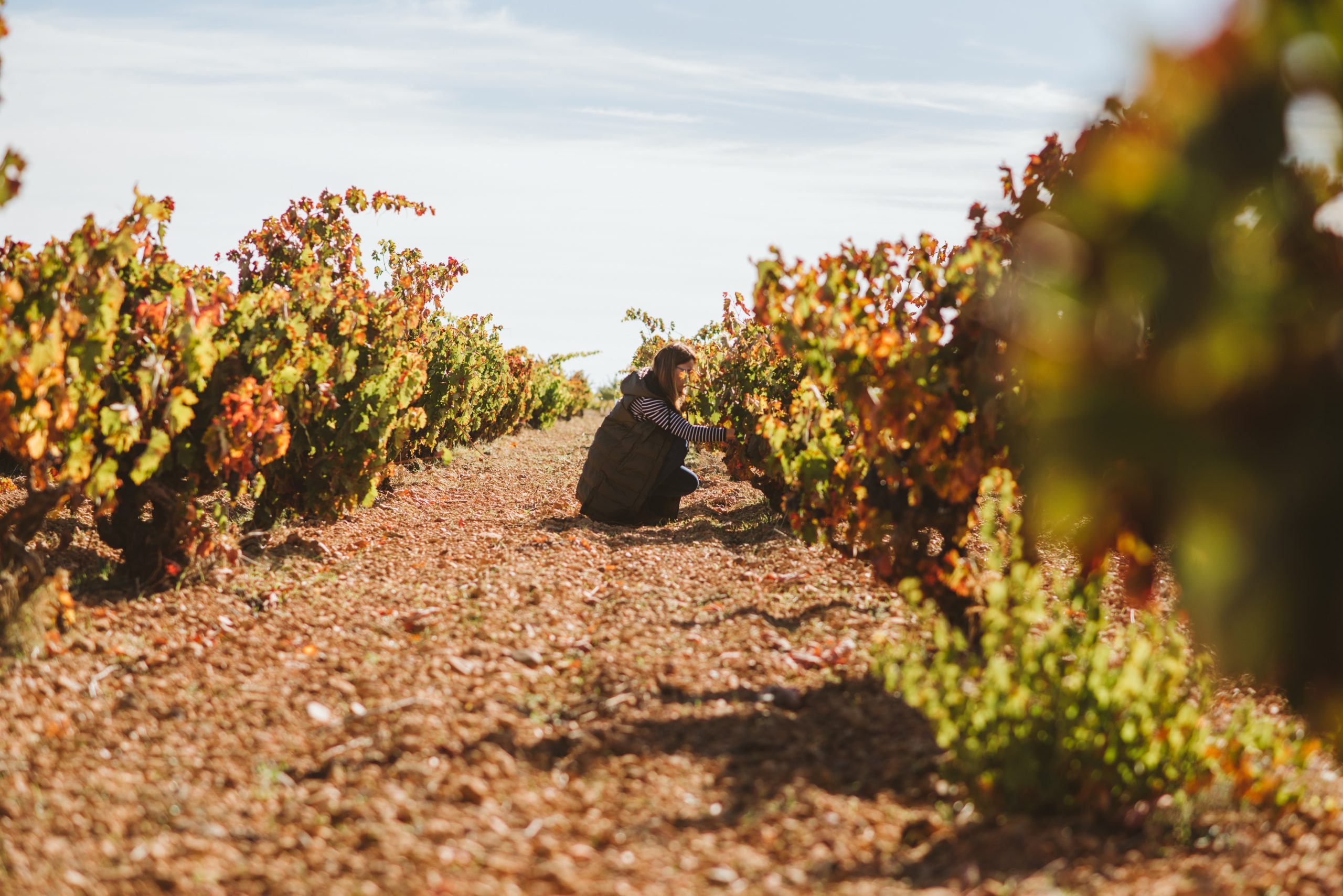 LAR-VENDIMIA-PRODUCTO-0073-scaled