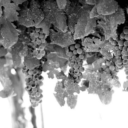 history-page-header-light-blackwhite