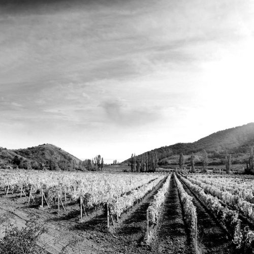 homepage-slider-1-light-blackwhite